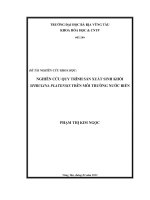 NGHIÊN cứu QUY TRÌNH sản XUẤT SINH KHỐI SPIRULINA PLATENSIS TRÊN môi TRƯỜNG nước BIỂN