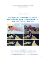 NHẬN DẠNG XÓI LỞ BỜ VÙNG CỬA SÔNG VÀ VEN BIỂN MIỀN TRUNG VÀ ĐỊNH HƯỚNG CÁC GIẢI PHÁP ỨNG XỬ THÍCH HỢP