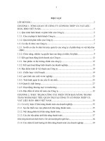 Phân tích khả năng thanh toán nhằm mục tiêu quản trị tại công ty cổ phần thép và vật liệu hàn  HBO 