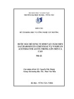 Bước đầu bổ sung vi sinh vật (nấm men saccharomyces cerevisiae và vi khuẩn acetobacter aceti) trong lên men ca cao