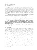 Tiểu luận hoạch định chiến lược tổng công ty CP bia  rượu NGK hà nội (habeco)  