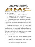 Phân tích báo cáo tài chính công ty cổ phần khoáng sản bình định 