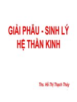 GIẢI PHẪU SINH LÝ HỆ THẦN KINH.ĐH Y DƯỢC TP HCM