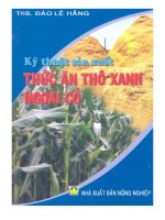 Ebook kỹ thuật sản xuất thức ăn thô xanh ngoài cỏ  phần 1