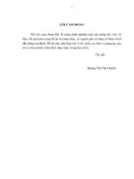 Một số giải pháp nhằm nâng cao chất lượng công tác thanh tra, kiểm tra nội bộ   trường cao đẳng cộng đồng hải phòng 