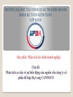 Đề tài nghiên cứu phân tích cơ cấu và sự biến động của nguồn vốn công ty cổ phần đồ hộp hạ long CANFOCO