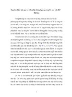 NGUYÊN NHÂN, hậu QUẢ và BIỆN PHÁP KHẮC PHỤC sự NÓNG lên của TRÁI đất