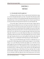 PHÂN TÍCH HOẠT ĐỘNG  SẢN XUẤT KINH DOANH CỦA CÔNG TY CAO SU CHƯ PĂH  GIA LAI”.