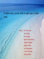 Ô nhiễm nước , nguồn và các tác động ô nhiễm nguồn nước