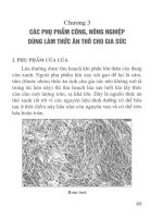 Ebook kỹ thuật sản xuất thức ăn thô xanh ngoài cỏ  phần 2