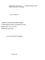 Luận án tiến sĩ nghiên cứu một số đặc điểm sinh học và biện pháp kỹ thuật tạo giống cây mun (diospyros mun a chev  ex lecomte) ở miền bắc việt nam  