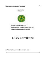 Luận án tiến sĩ nghiên cứu tiêu thụ rau thông qua hệ thống chợ và siêu thị trên địa bàn thành phố hà nội  