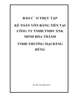 KẾ TOÁN vốn BẰNG TIỀN tại CÔNG TY TNHH TMDV XNK MINH hòa THÀNH TNHH THƯƠNG mại ĐĂNG DŨNG 