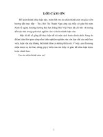 Bảo hộ chỉ dẫn địa lý và bài học kinh nghiệm về quyền sở hữu trí tuệ cho sản phẩm cà phê buôn ma thuột 