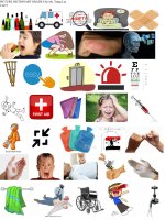 TỪ VỰNG TIẾNG ANH 8 dưới dạng TRANH