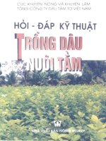 Ebook hỏi đáp kỹ thuật trồng dâu nuôi tằm  phần 1