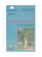 Ebook bác sĩ cây trồng   quyển 23  trồng chăm sóc và phòng trừ sâu bệnh cây cao su (phần 1)