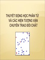 ĐỘNG HỌC PHÂN TỬ ĐH Y DƯỢC TP HCM