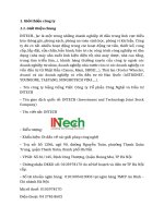 Tiểu luận phân đoạn và lựa chọn thị trường mục tiêu cho công ty intech  