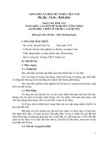 Sáng kiến kinh nghiệm quản lý Một số giải pháp nâng cao chất lượng giáo dục đối với học sinh đầu cấp ở trường trung học cơ sở