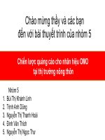 Chiến lược quảng cáo cho nhãn hiệu omo tại thị trường nông thôn 