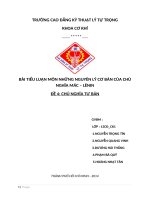 BÀI TIỂU LUẬN   CHỦ NGHĨA tư bản