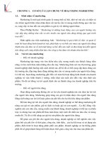 CÁC GIẢI PHÁP NHẰM HOÀN THIỆN HOẠT ĐỘNG MARKETING CHO CÔNG TY CỔ PHẦN VEETEX