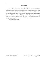 Giải pháp hạn chế rủi ro trong quá trình thực hiện hợp đồng nhập khẩu linh kiện ô tô của công ty cổ phần ô tô an hưng 