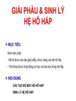 GIẢI PHẪU SINH LÝ HỆ HÔ HẤP ĐH Y DƯỢCTP HCM