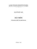 Tiểu luận học phần công nghệ kim loại hàn NHÔM 