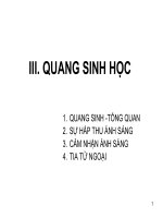 QUANG SINH HỌC ĐH Y DƯỢC TP HCM