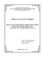 MỘT số GIẢI PHÁP HOÀN THIỆN HOẠT ĐỘNG QUẢN TRỊ NGUỒN NHÂN lực tại CÔNG TY TNHH THÊU MAI LAN