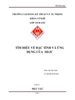 TÌM HIỂU về đặc TÍNH và ỨNG DỤNG của  SILIC 