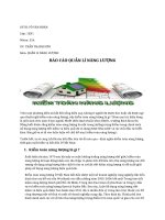 bao cao QUẢN LÍ NĂNG LƯỢNG