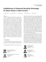 Establishment of Advanced Recycling Technology  for Waste Plastics in Blast Furnace †