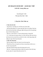 Kế hoạch chăm sóc giáo dục trẻ mầm non