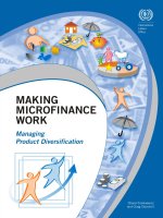 Making microfinance work  managing product diversification 