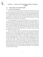 THỰC TRẠNG HOẠT ĐỘNG KÊNH PHÂN PHỐI CỦA CÔNG TY TNHH GIẢI PHÁP PHẦN MỀM CÔNG NGHỆ VÀ CHẤT LƯỢNG