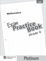 Platinum mathematics grade 10 exam practice book