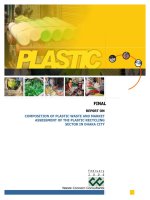 Plastic report study summary