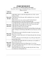 Kế hoạch thực hiện chủ đề rau quả những bông hoa đẹp truong trường mầm non