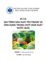 QUI TRÌNH SẢN XUẤT PECTINASE VÀ ỨNG DỤNG TRONG CNTP (SẢN XUẤT NƯỚC QUẢ)
