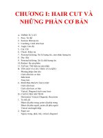 Hair cut và những phần cơ bản