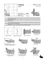 Origami cơ bản: Con thỏ