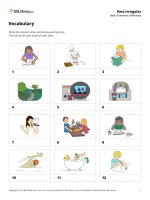 Past Irregular ( Basic Grammar Exercises )