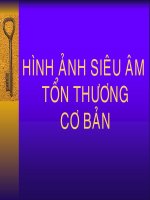Các hình ảnh siêu âm tổn thương cơ bản