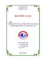 tiểu luận luật bản quyền hoa kỳ