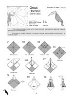 Origami cơ bản: chim hồng hoàng