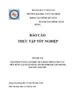 GIẢI PHÁP NÂNG CAO HIỆU QUẢ HOẠT ĐỘNG CHO VAY TIÊU DÙNG tại NGÂN HÀNG TECHCOMBANK CHI NHÁNH NGUYỄN ÁNH THỦ 