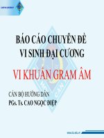 Báo cáo chuyên đề vi sinh đại cương vi khuẩn gram âm